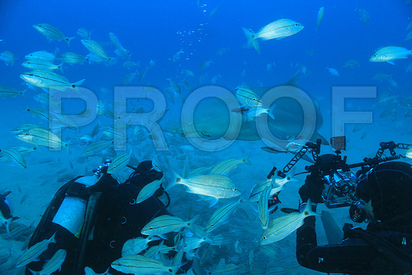 20150606_Scuba_OR_Miami_IMG_8879