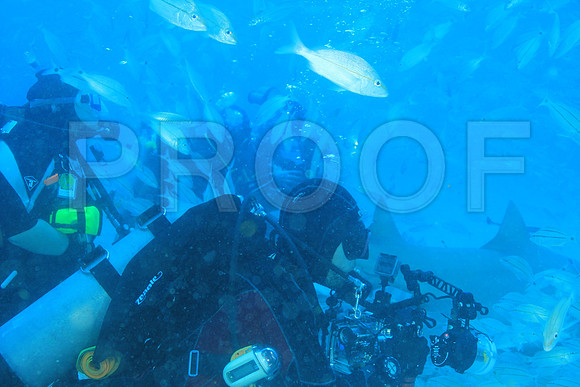 20150606_Scuba_OR_Miami_IMG_8840