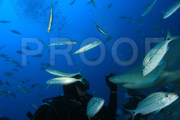 20150606_Scuba_OR_Miami_IMG_8810