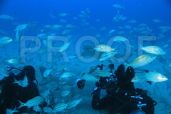 20150606_Scuba_OR_Miami_IMG_8878