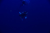 20150605_Scuba_OR_Miami_IMG_8735