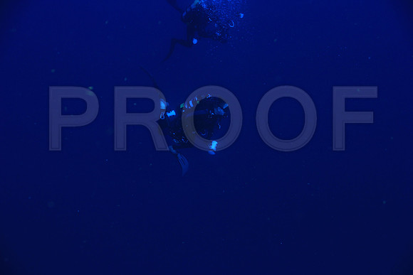 20150605_Scuba_OR_Miami_IMG_8735