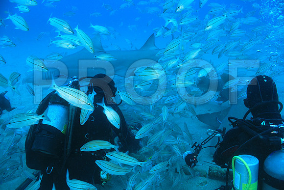 20150606_Scuba_OR_Miami_IMG_8881