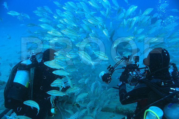 20150606_Scuba_OR_Miami_IMG_8880