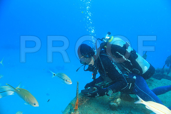 20150606_Scuba_OR_Miami_IMG_8831