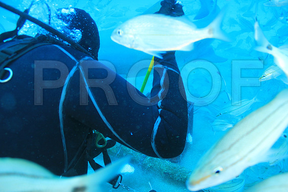 20150606_Scuba_OR_Miami_IMG_8870