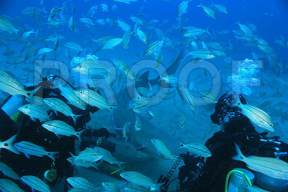 20150606_Scuba_OR_Miami_IMG_8877
