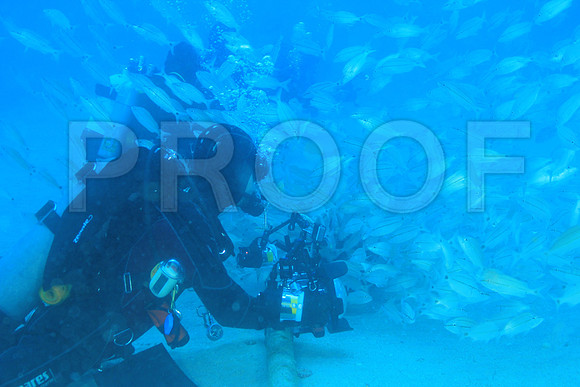 20150606_Scuba_OR_Miami_IMG_8856