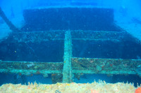 20150605_Scuba_OR_Miami_IMG_8747