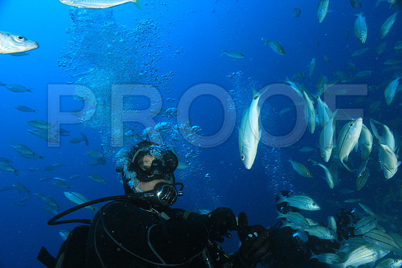 20150606_Scuba_OR_Miami_IMG_8809