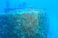 20150605_Scuba_OR_Miami_IMG_8745
