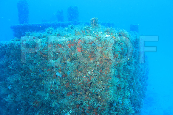 20150605_Scuba_OR_Miami_IMG_8745
