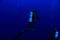20150605_Scuba_OR_Miami_IMG_8738