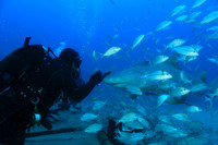 20150605_Scuba_OR_Miami_IMG_8752