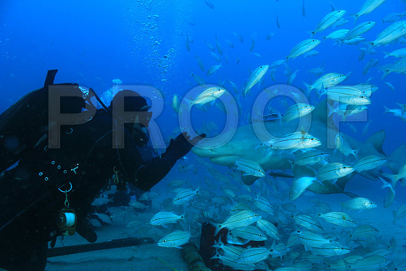 20150605_Scuba_OR_Miami_IMG_8752