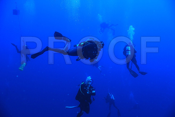 20150605_Scuba_OR_Miami_IMG_8739