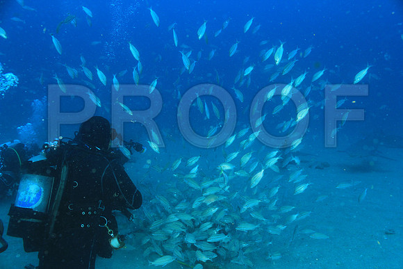 20150606_Scuba_OR_Miami_IMG_8817