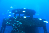 20150605_Scuba_OR_Miami_IMG_8748