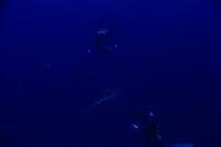 20150605_Scuba_OR_Miami_IMG_8734
