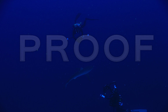 20150605_Scuba_OR_Miami_IMG_8734