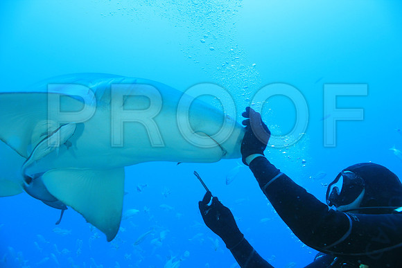 20150606_Scuba_OR_Miami_IMG_8887