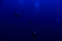 20150605_Scuba_OR_Miami_IMG_8737