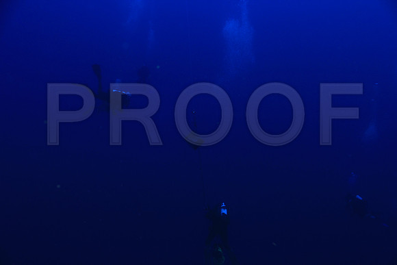 20150605_Scuba_OR_Miami_IMG_8737