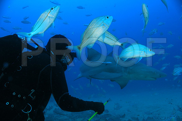 20150606_Scuba_OR_Miami_IMG_8792