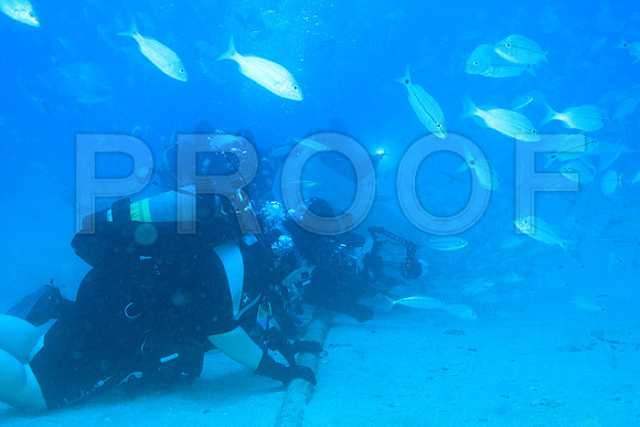 20150606_Scuba_OR_Miami_IMG_8848