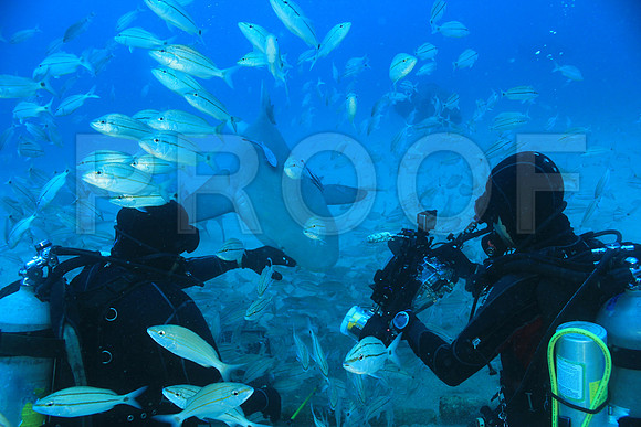 20150606_Scuba_OR_Miami_IMG_8882
