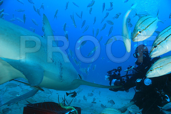 20150606_Scuba_OR_Miami_IMG_8918