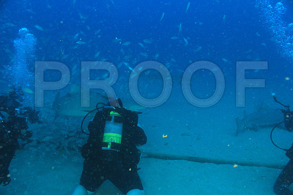 20150606_Scuba_OR_Miami_IMG_8826