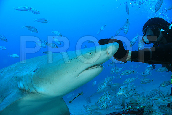 20150606_Scuba_OR_Miami_IMG_8890
