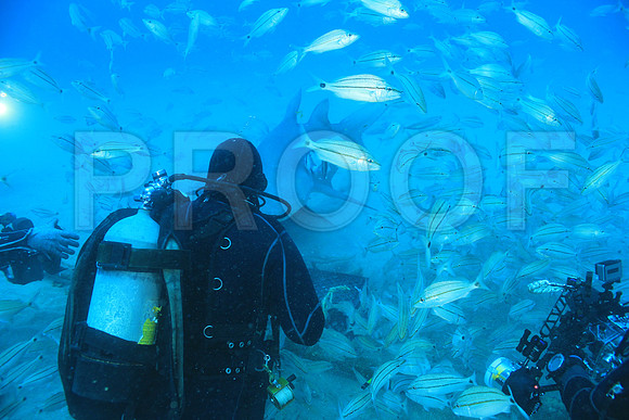 20150606_Scuba_OR_Miami_IMG_8875