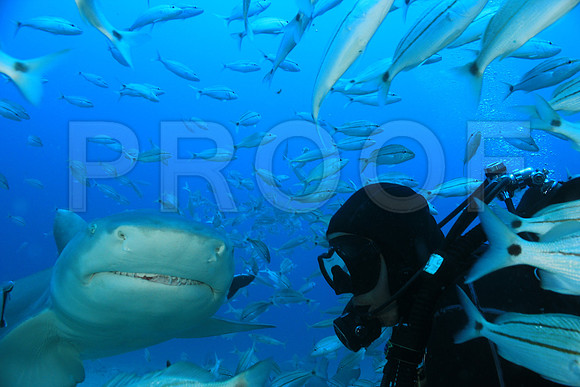 20150606_Scuba_OR_Miami_IMG_8919