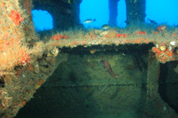 20150605_Scuba_OR_Miami_IMG_8751