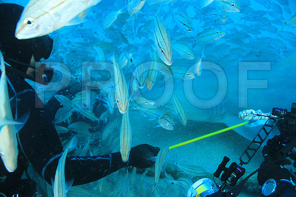 20150606_Scuba_OR_Miami_IMG_8873