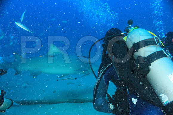 20150606_Scuba_OR_Miami_IMG_8825