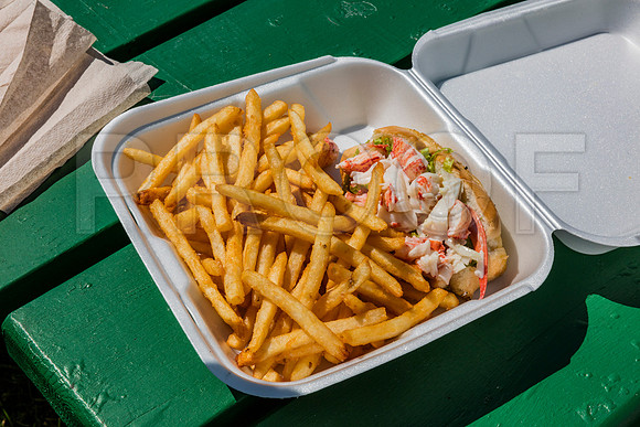20150906_Wiscasset_075A7863