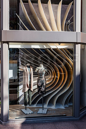 20150904_Boston_Windows_075A6959