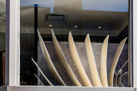 20150904_Boston_Windows_075A6960