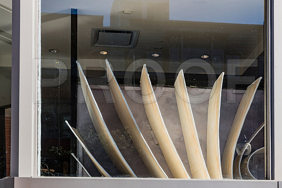 20150904_Boston_Windows_075A6960