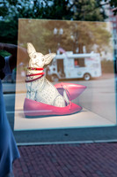 20150904_Boston_Windows_075A6736