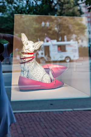 20150904_Boston_Windows_075A6736