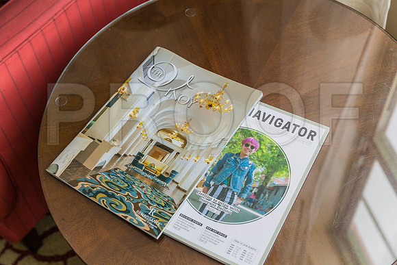20150730_Vinoy_Hotel_ST_Petersburg_FL_20150730_Vinoy_Hotel_St_Petersburg_9C7C8823