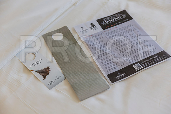 20150730_Vinoy_Hotel_ST_Petersburg_FL_20150730_Vinoy_Hotel_St_Petersburg_9C7C8818