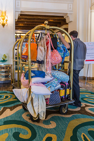 20150730_Vinoy_Hotel_ST_Petersburg_FL_20150730_Vinoy_Hotel_St_Petersburg_9C7C8869