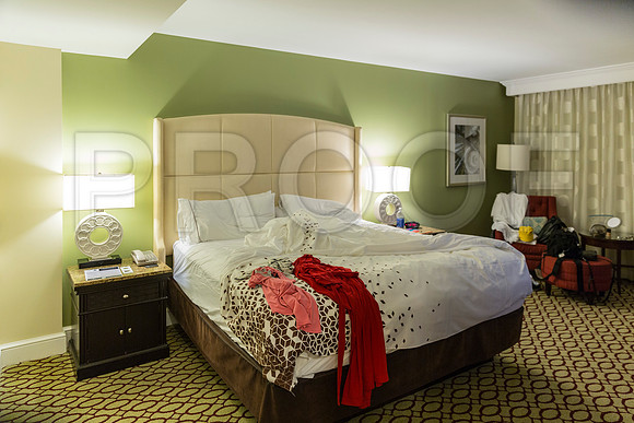 20150731_Vinoy_Hotel_ST_Petersburg_FL_20150731_Vinoy_Hotel_St_Petersburg_9C7C0469
