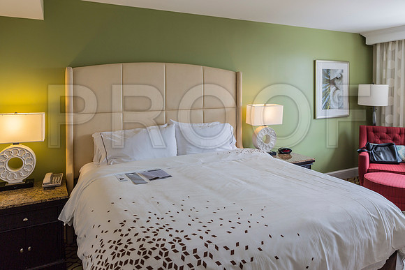 20150730_Vinoy_Hotel_ST_Petersburg_FL_20150730_Vinoy_Hotel_St_Petersburg_9C7C8816