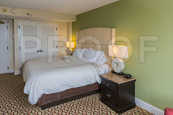 20150730_Vinoy_Hotel_ST_Petersburg_FL_20150730_Vinoy_Hotel_St_Petersburg_9C7C8815